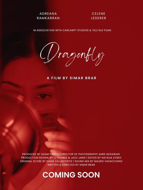 Постер: Dragonfly