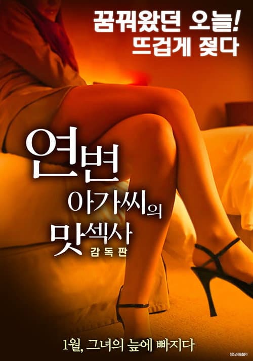 Постер: 연변 아가씨의 맛섹사