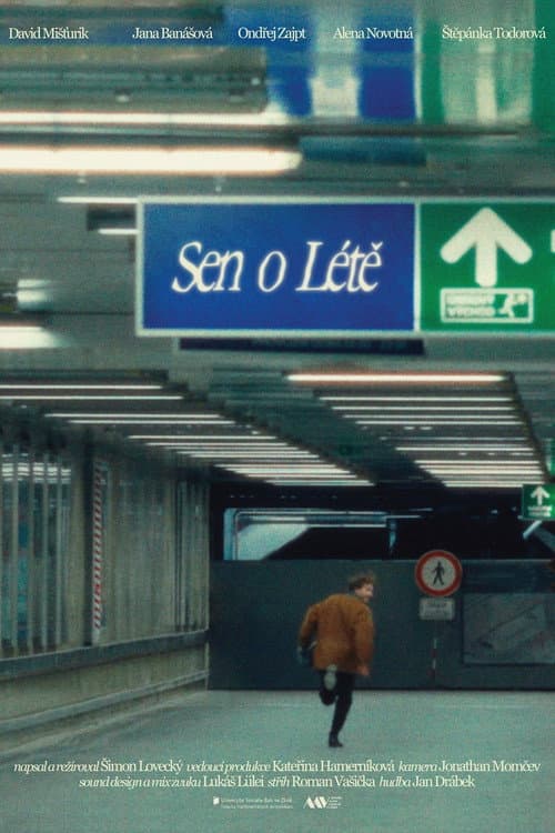 Постер: Sen o Létě