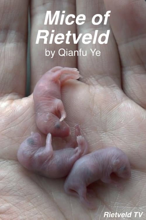 Постер: Mice of Rietveld