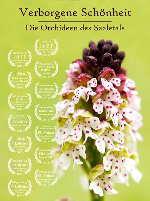 Постер: Verborgene Schönheit: Die Orchideen des Saaletals