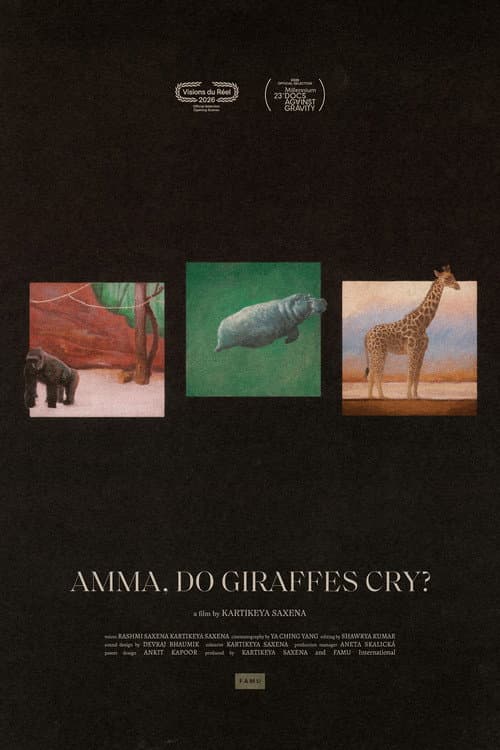 Постер: Amma, Do Giraffes Cry?