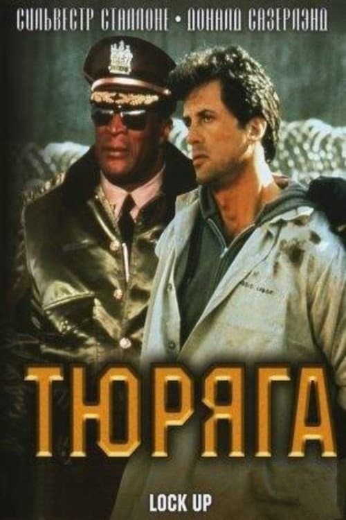 Кадр 13
