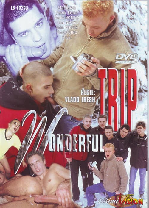 Постер: Wonderful Trip