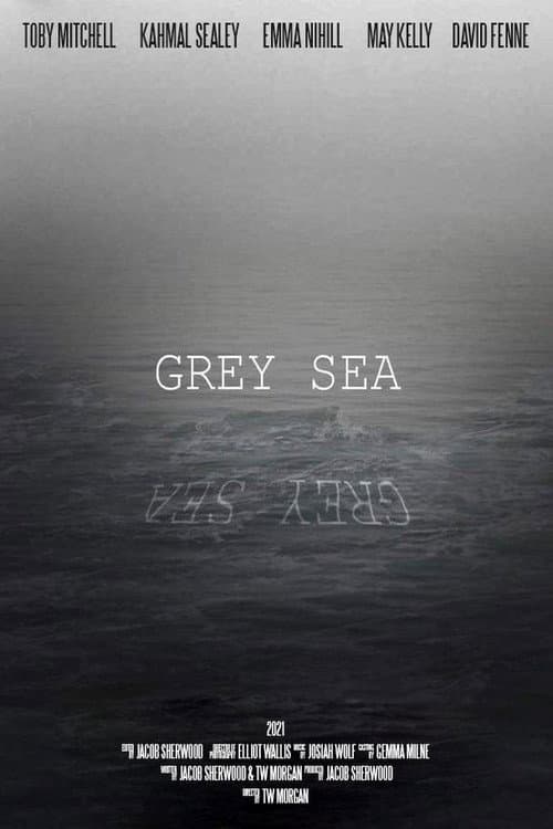 Постер: Grey Sea