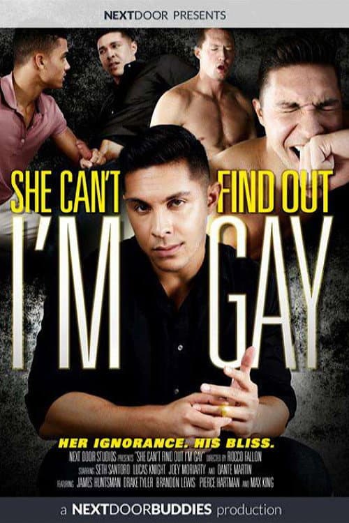 Постер: She Can't Find Out I'm Gay
