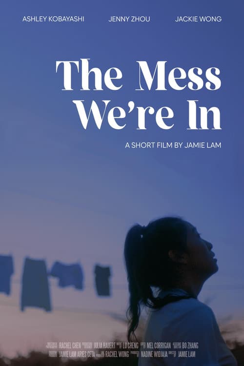 Постер: The Mess We're In