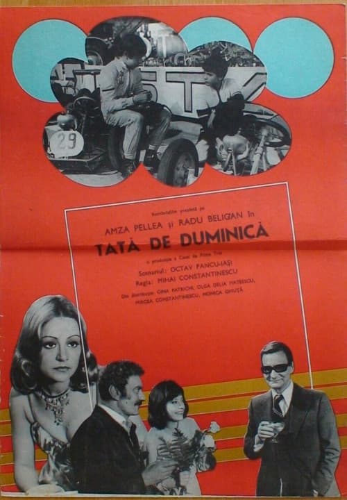 Постер: Tată de duminică