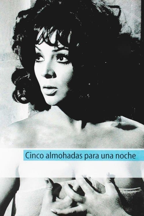 Постер: Cinco almohadas para una noche
