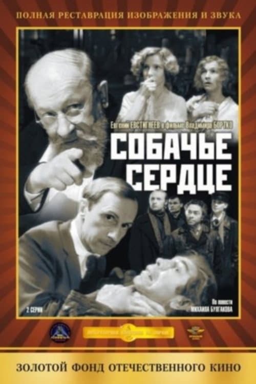 Кадр 5