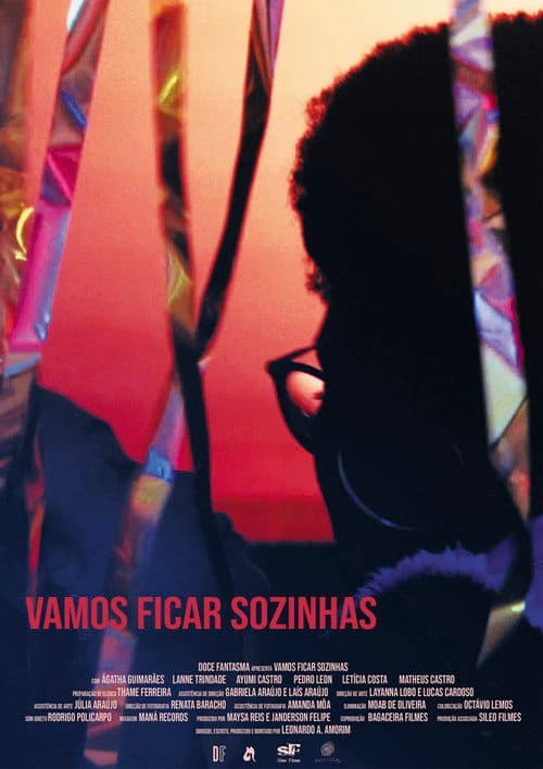 Постер: Vamos Ficar Sozinhas