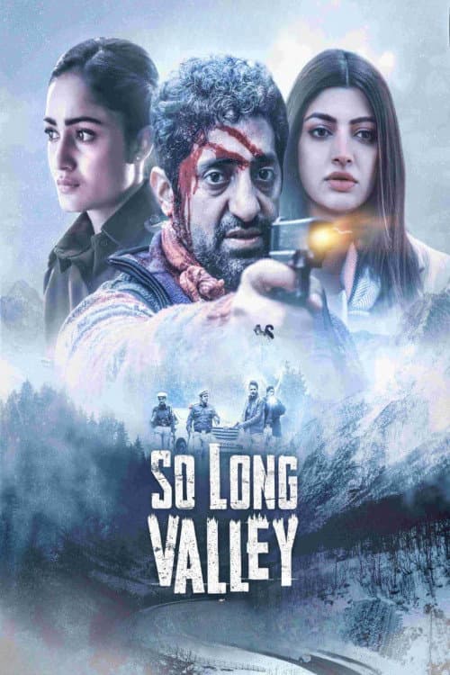 Постер: So Long Valley