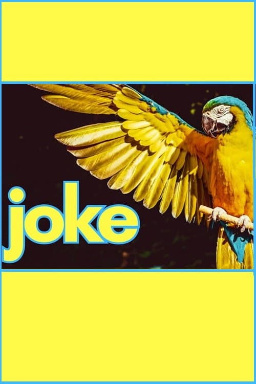 Постер: Joke
