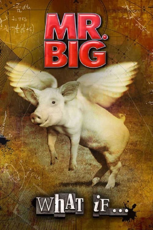 Постер: Mr. Big: The Making Of 'What If...'