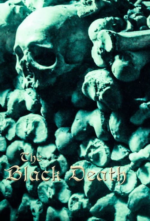 Постер: The Black Death: A Plague Upon the World