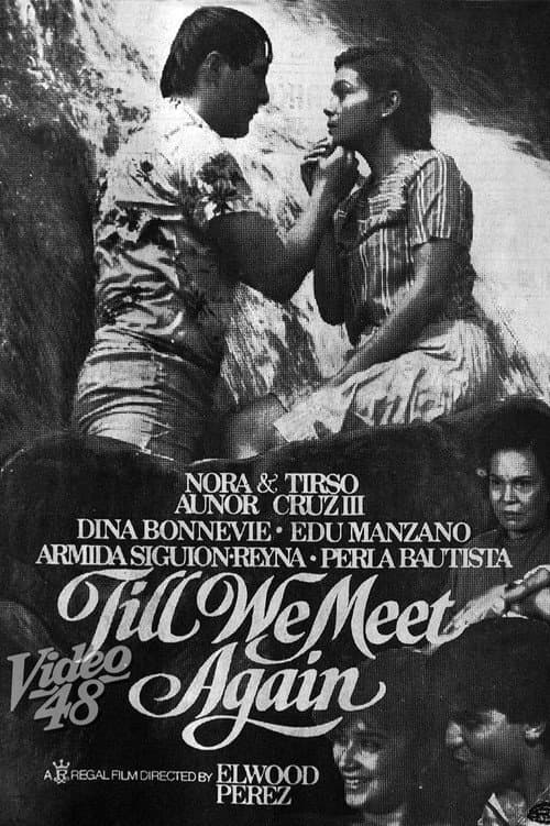 Постер: Till We Meet Again
