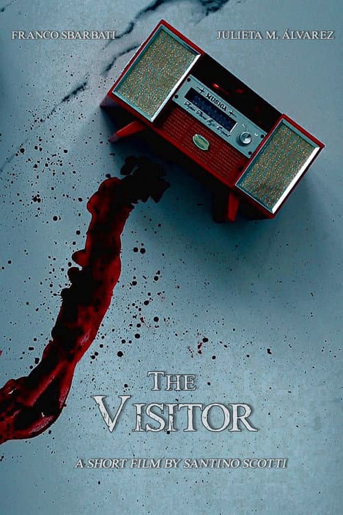 Постер: The Visitor