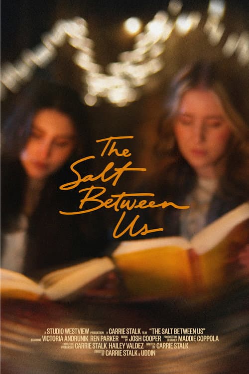Постер: The Salt Between Us