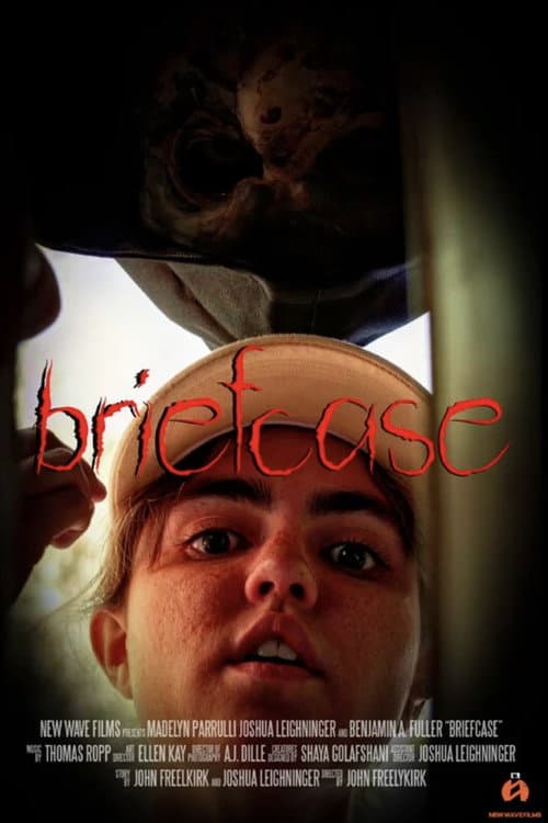 Постер: Briefcase