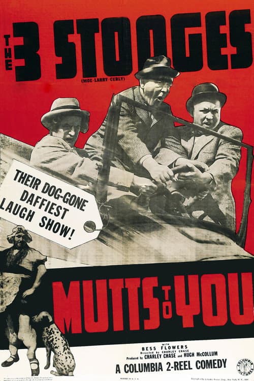 Постер: Mutts to You