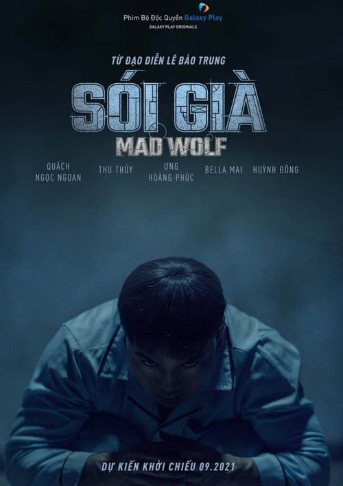 Постер: Sói Già
