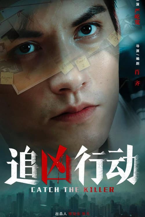 Постер: 追凶行动