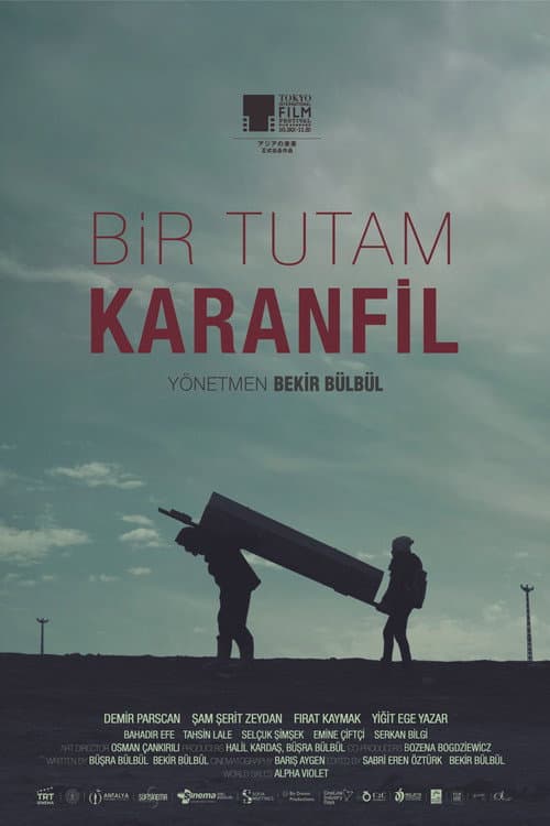 Постер: Bir Tutam Karanfil