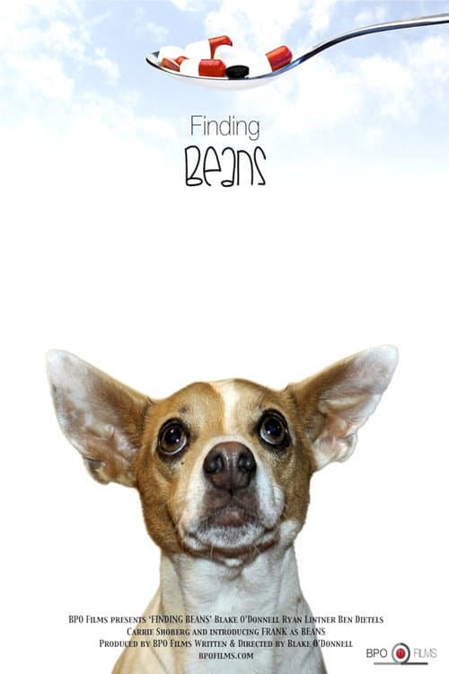 Постер: Finding Beans