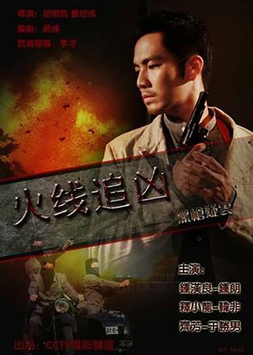 Постер: 火线追凶之黑枪疑云