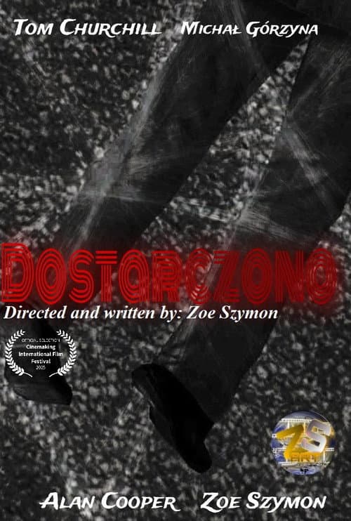 Постер: Dostarczono