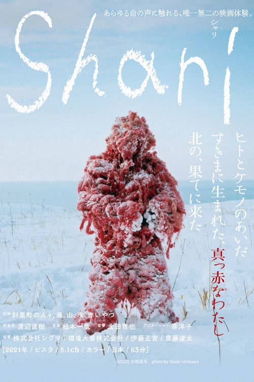 Постер: シャリ
