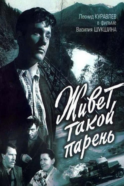 Постер 3