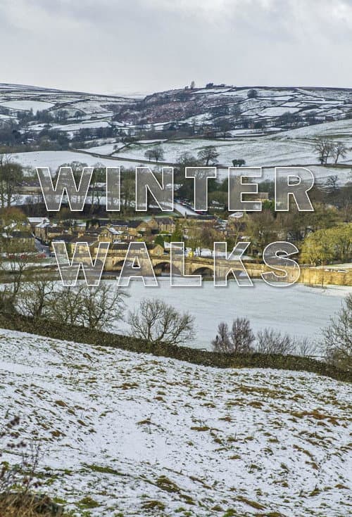 Постер: Winter Walks