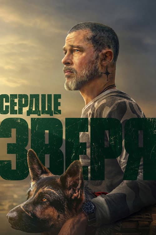 Кадр 7
