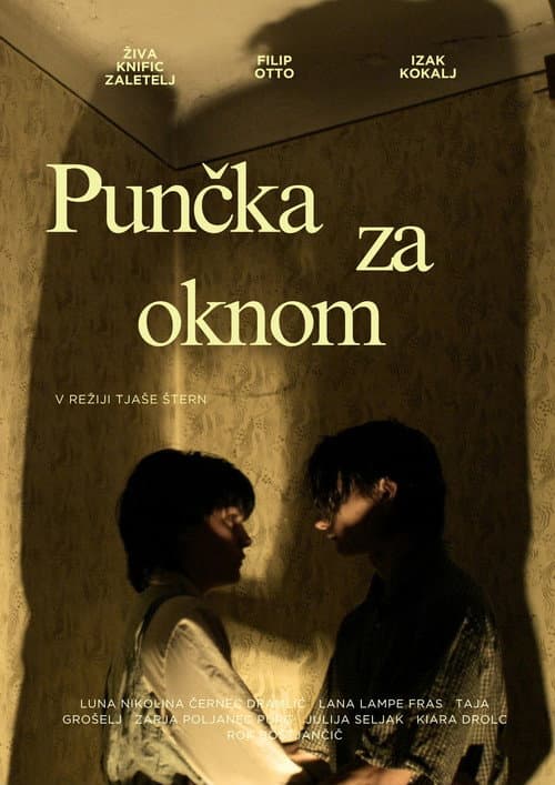 Постер: Punčka za oknom