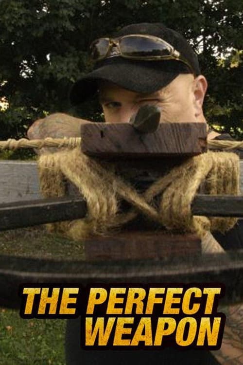Постер: Perfect Weapon
