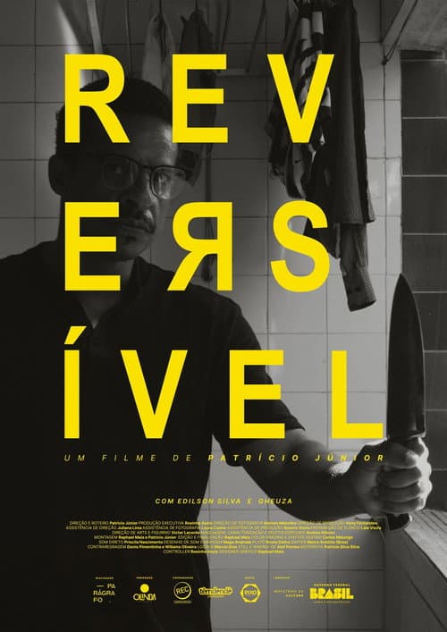 Постер: Reversível
