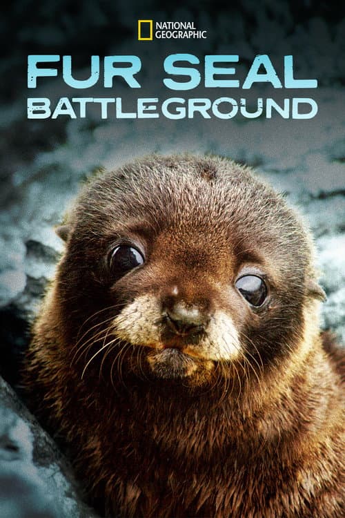 Постер: Fur Seals