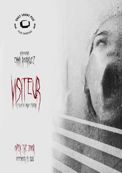Постер: Visiteur