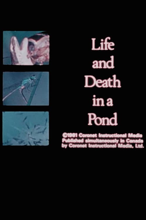 Постер: Life and Death in A Pond