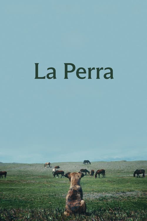 Постер: La Perra