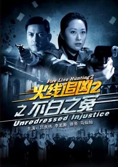 Постер: 火线追凶2之不白之冤