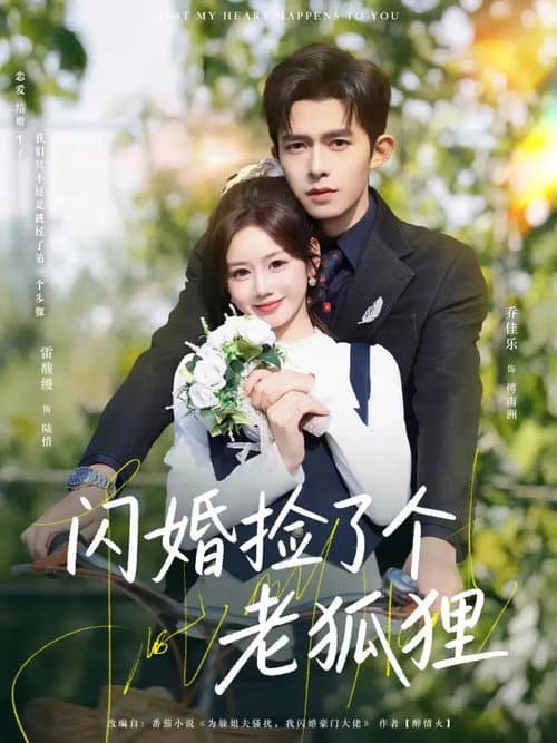 Постер: 闪婚捡了个老狐狸
