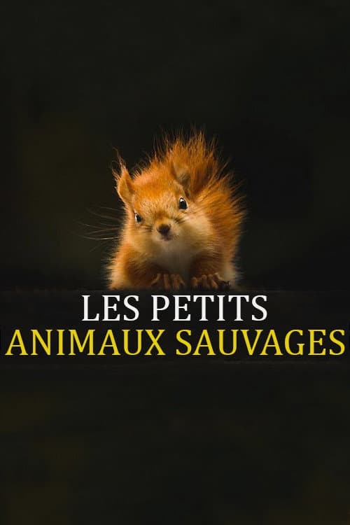 Постер: Les Petits Animaux Sauvages