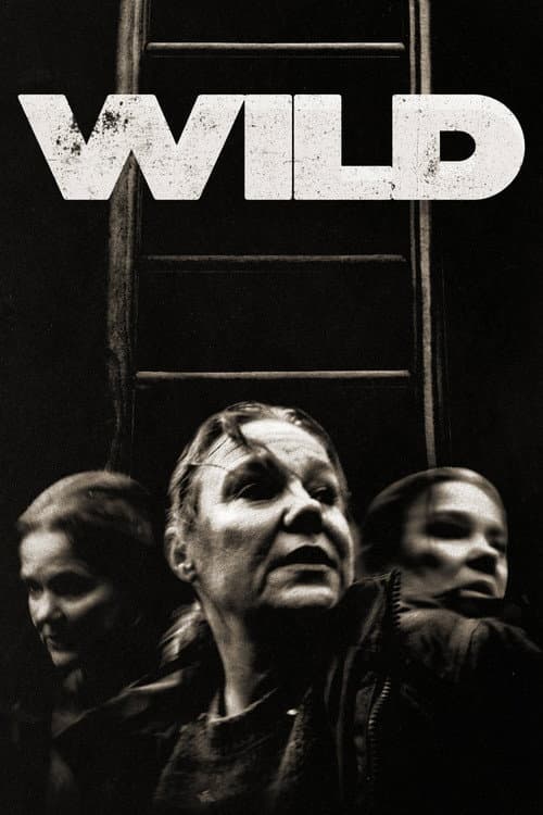 Постер: Wild