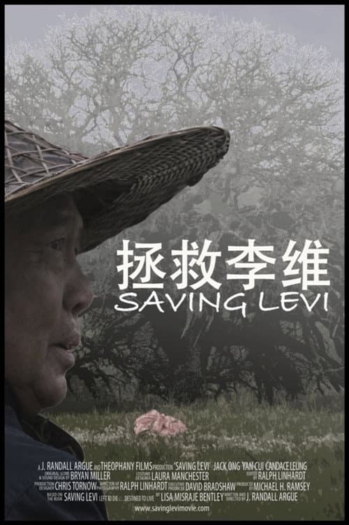 Постер: Saving Levi
