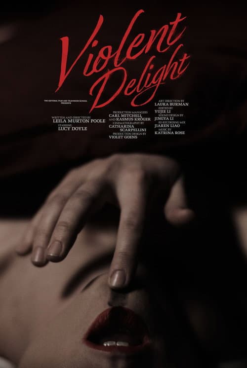 Постер: Violent Delight
