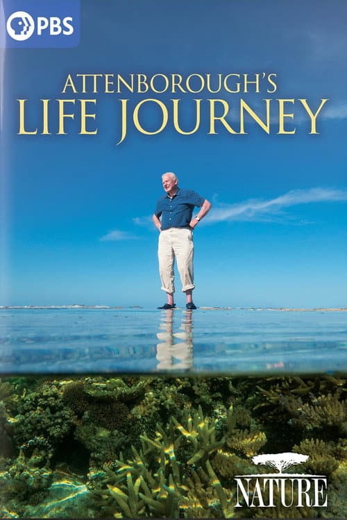 Постер: Attenborough's Life Journey