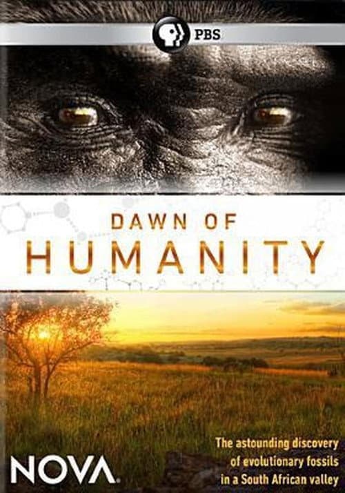 Постер: Dawn of Humanity