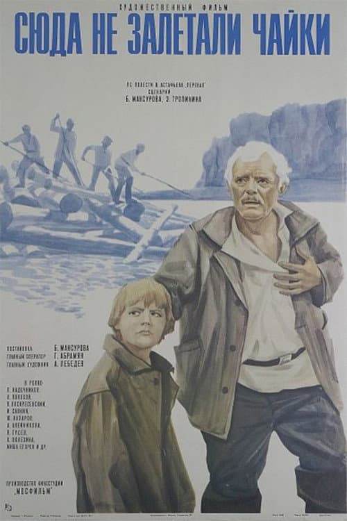 Постер 2